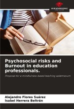 Psychosocial risks and Burnout in education professionals.