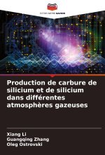 Production de carbure de silicium et de silicium dans différentes atmosph?res gazeuses