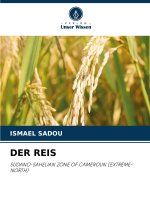DER REIS