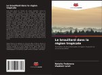 Le brouillard dans la région tropicale