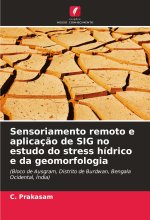 Sensoriamento remoto e aplicaç?o de SIG no estudo do stress hídrico e da geomorfologia