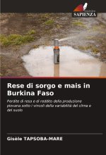 Rese di sorgo e mais in Burkina Faso