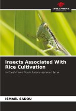 Insects Associated With Rice Cultivation