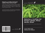 Helechos y Licofitas del Parque Lajinha, Minas Gerais, Brasil