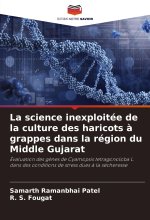 La science inexploitée de la culture des haricots ? grappes dans la région du Middle Gujarat