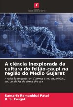 A ci?ncia inexplorada da cultura do feij?o-caupi na regi?o do Médio Gujarat