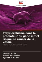 Polymorphisme dans le promoteur du g?ne mif et risque de cancer de la vessie