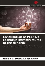 Contribution of PCESA's Economic Infrastructures to the dynamic