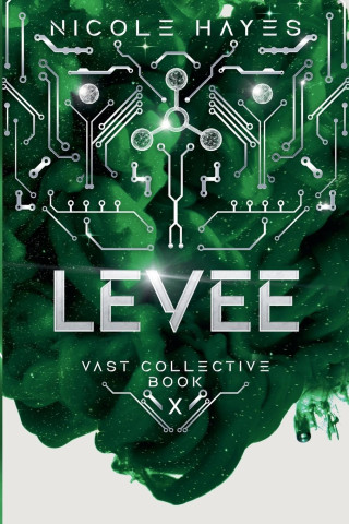 Levee