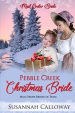 Pebble Creek Christmas Bride