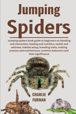Jumping Spiders