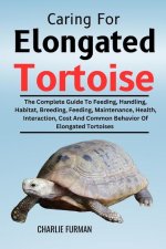 Caring For Elongated Tortoise