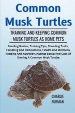 Common Musk Turtles
