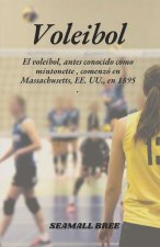 Voleibol