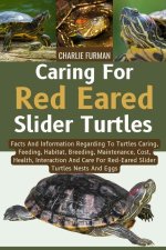 Caring For Red Eared Slider Turtles