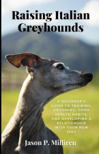 Raising Italian Greyhounds