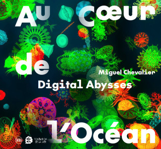 Digital abysses