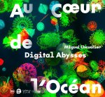 Digital abysses