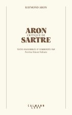 Sartre par Aron