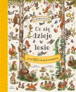 Co się dzieje w lesie? W misiowym lesie