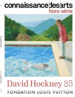 DAVID HOCKNEY