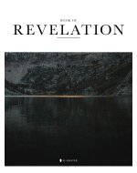 The Book of Revelation (HC,NLT)