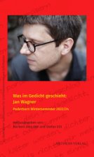 Was im Gedicht geschieht: Jan Wagner