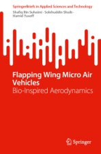 Flapping Wing Micro Air Vehicles
