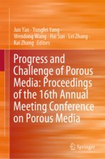 Progress and Challenge of Porous Media: Proceedings of the 16th Annual Meeting Conference on Porous Media