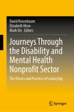 Journeys Through the Disability and Mental Health Nonprofit Sector