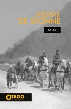 Pierre de Stonne