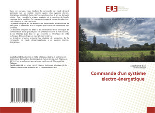 Commande d'un système électro-énergétique