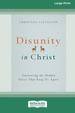 Disunity in Christ
