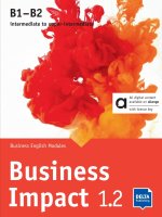 Business Impact 1.2. B1-B2 - Hybrid Edition allango
