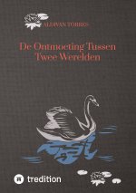 De Ontmoeting Tussen Twee Werelden