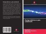 Perigo elétrico e pós-catástrofe