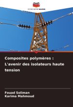 Composites polym?res : L'avenir des isolateurs haute tension