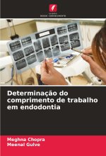Determinaç?o do comprimento de trabalho em endodontia