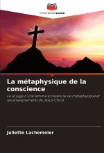La métaphysique de la conscience