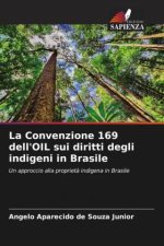 La Convenzione 169 dell'OIL sui diritti degli indigeni in Brasile