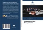 Perspektiven des Managements
