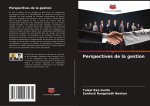 Perspectives de la gestion