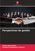 Perspectivas da gest?o