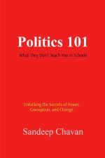 Politics 101