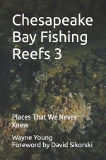 Chesapeake Bay Fishing Reefs 3