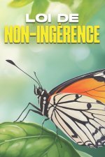 Loi de non-ingérence