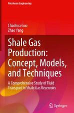 Shale Gas Production: Concept, Models, and Techniques