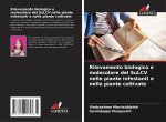 Rilevamento biologico e molecolare del SuLCV nelle piante infestanti e nelle piante coltivate