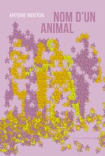 Nom d'un animal