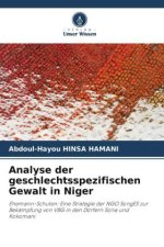 Analyse der geschlechtsspezifischen Gewalt in Niger